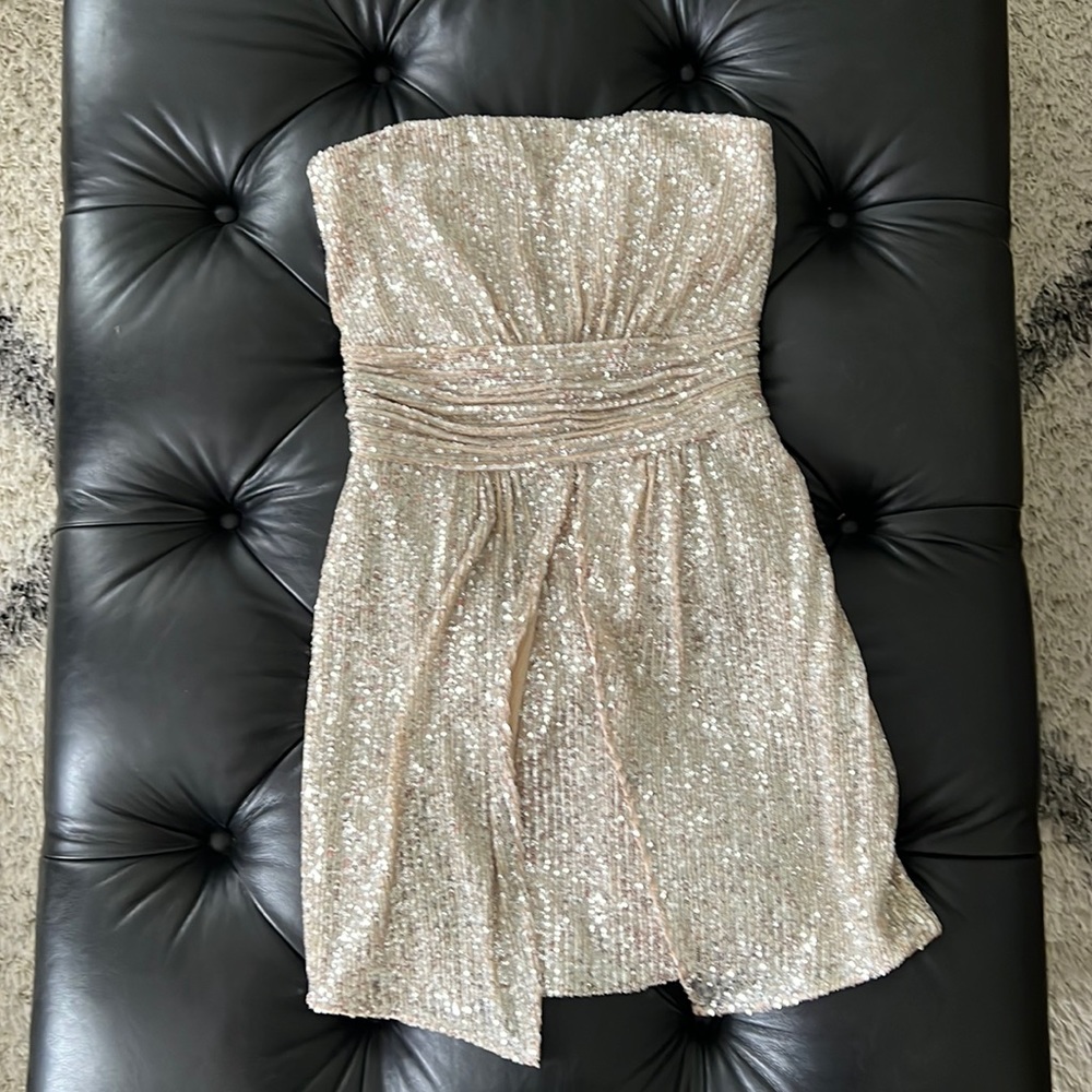Ramy Brook Strapless Dress